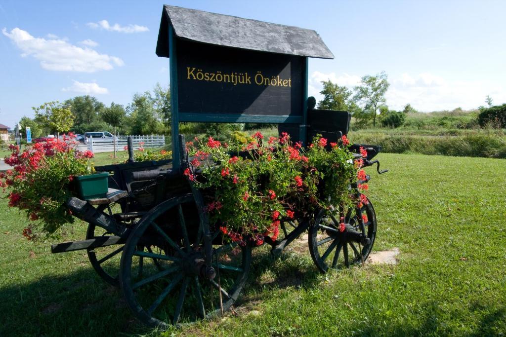 Hetkuti Wellness Hotel Es Lovaspark Mór Exteriör bild